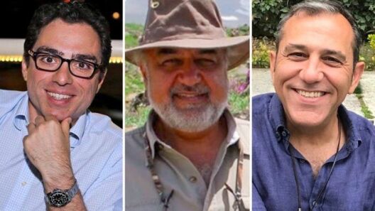 ЗША лічаць, што
Сіямак Намазі, Морад Тахбах і Эмад Шаргі былі асуджаныя па беспадстаўным
абвінавачваннях. Фота ANYHOPEFORNATURE/FREETHENAMAZIS / NEDASHARGHI