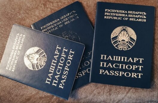 pasport_860x564.jpg