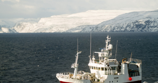 У Арктыцы ўводзіцца мараторый на камерцыйнае рыбалоўства