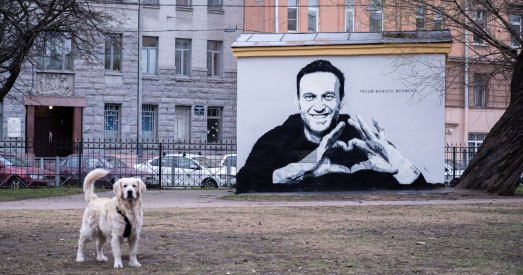 Расія. Графіці з Навальным на трансфарматарнай будцы — вандалізм