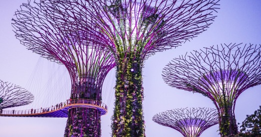 Азбука паліталогіі: «Вялікая розніца» ад першага прэм'ер-міністра Сінгапура 