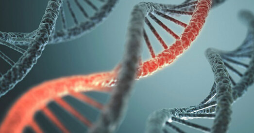 У ЗША дазволілі генетычныя эксперыменты на людзях