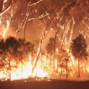 Змагацца з пажарамі ў Аўстраліі будуць вайскоўцы запасу