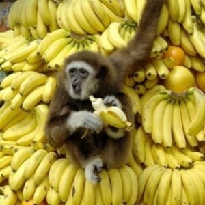 Год Банана