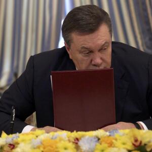 Кіраўнік МЗС Швецыі назваў Януковіча калабарацыяністам