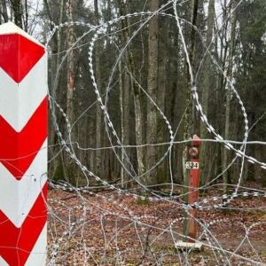 За суткі 56 чалавек спрабавалі нелегальна перасячы польска-беларускую мяжу