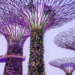 Азбука паліталогіі: «Вялікая розніца» ад першага прэм'ер-міністра Сінгапура 