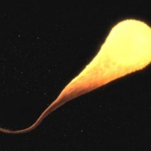 NASA на відэа паказала, як чорная дзірка раздзірае зорку