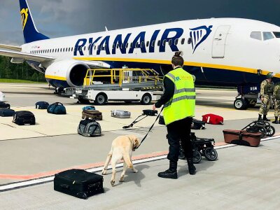 Ірландыя расследуе пасадку самалёта «Ryanair» і рыхтуе ўзмацненне санкцый супраць рэжыму Лукашэнкі