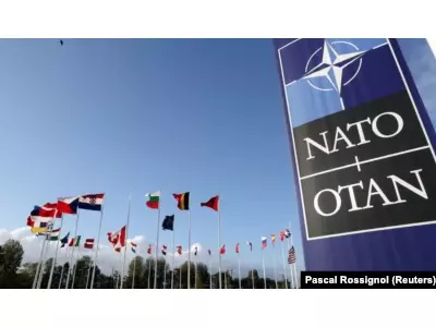 Фінляндыя і Швецыя ўжо амаль у NATO