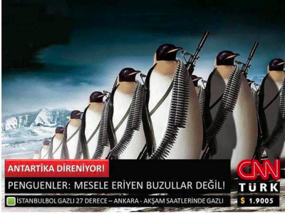 Мы не пінгвіны, пінгвіны не мы