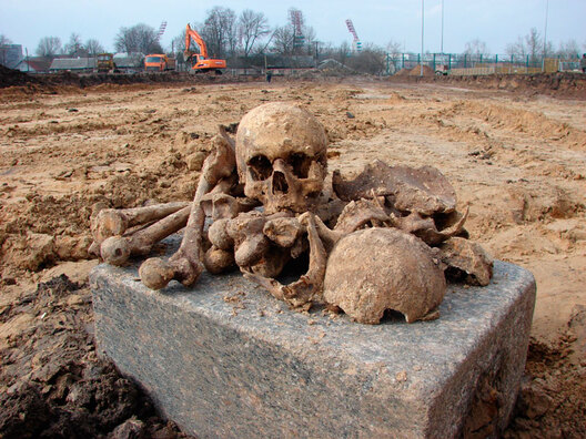 08_stadyjon.jpg 08_stadyjon.jpg