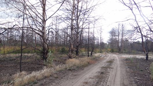 1.palihon_bre_logo.jpg 1.palihon_bre_logo.jpg