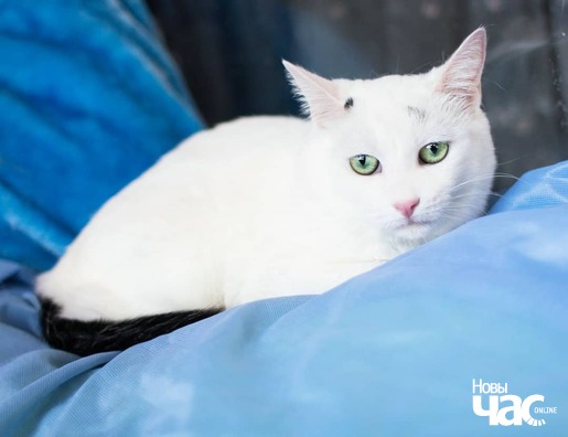 6/6 100104337_4145528992153758_4916192452320165888_o_logo.jpg