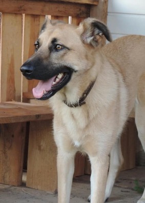 103303786_2829912360452211_2594804285800934599_n_logo.jpg 103303786_2829912360452211_2594804285800934599_n_logo.jpg