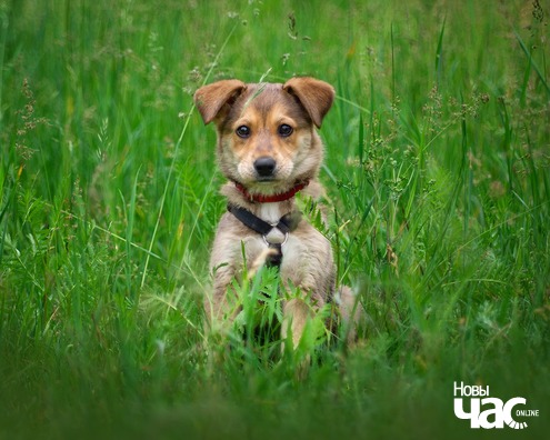 105427214_2164064570406116_5628205528897774760_o_logo.jpg 105427214_2164064570406116_5628205528897774760_o_logo.jpg