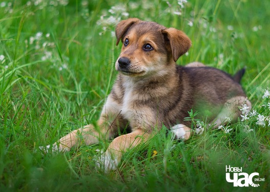 105575150_2164064650406108_2190556727654599910_o_logo.jpg 105575150_2164064650406108_2190556727654599910_o_logo.jpg