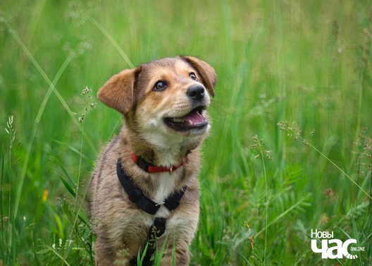 106006195_2164064490406124_1323082827273182466_o_logo.jpg 106006195_2164064490406124_1323082827273182466_o_logo.jpg