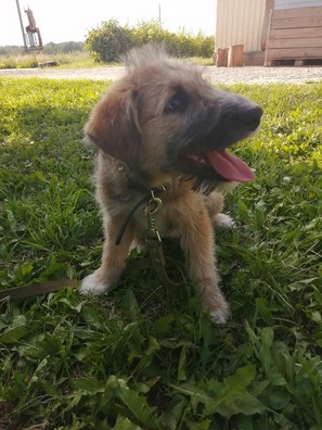 106333627_811570742580915_8423554835852811698_n_logo.jpg 106333627_811570742580915_8423554835852811698_n_logo.jpg