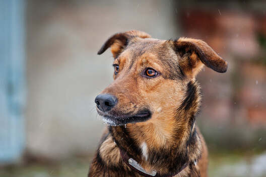 131205992_3356459374481585_6658854429299993419_o.jpg 131205992_3356459374481585_6658854429299993419_o.jpg