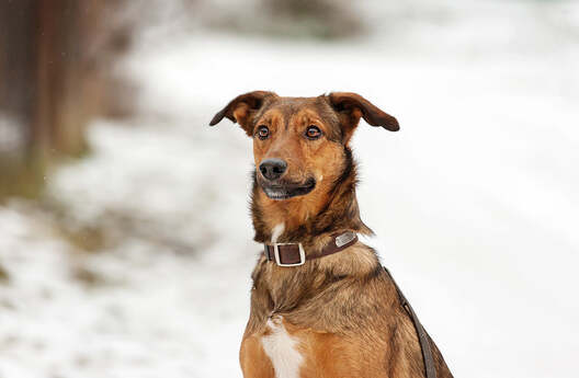 131536650_3356459367814919_9083856374693812806_o.jpg 131536650_3356459367814919_9083856374693812806_o.jpg