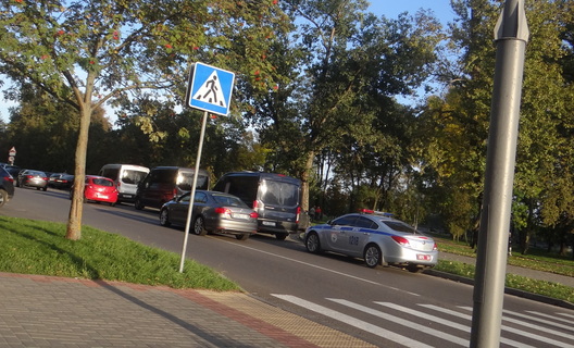 5/5 15.marszpalitbre_logo.jpg