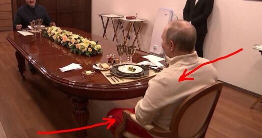 ФОТАФАКТ. Карыстальнікі сацсетак угледзелі ў адзенні Пуціна падчас сустрэчы з Лукашэнкам «схему БЧБ»