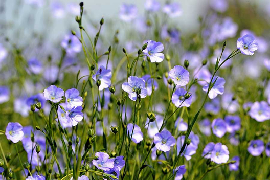 Ілюстрацыйнае фота: bobrlife.by Ілюстрацыйнае фота: bobrlife.by