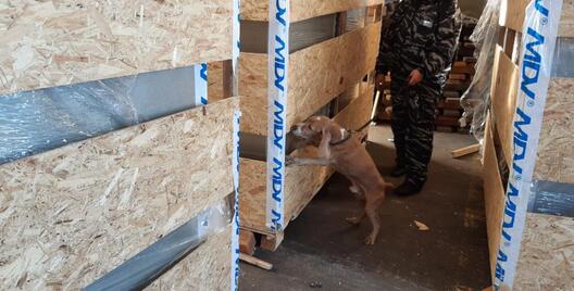 1630917400890301101.jpg 1630917400890301101.jpg