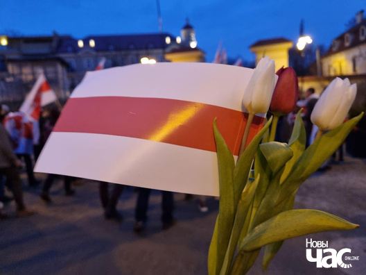 1774429708087blob.jpg 1774429708087blob.jpg