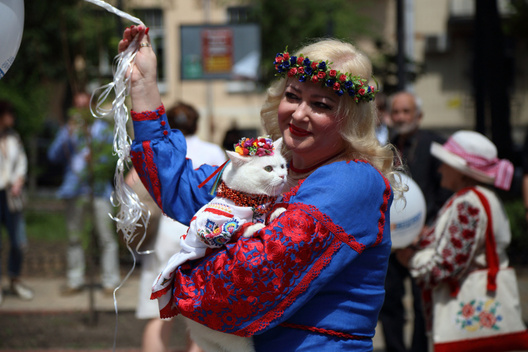 3/11 1_34882418226_de6973cfc8_k.jpg