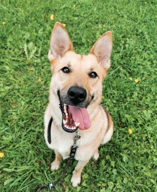 6/6 1syocppyxo0_logo.jpg