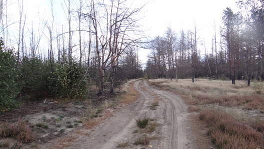 2.palihon_bre_logo.jpg 2.palihon_bre_logo.jpg