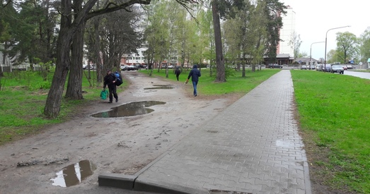 Мясцовыя праблемы — следства адсутнасці выбараў