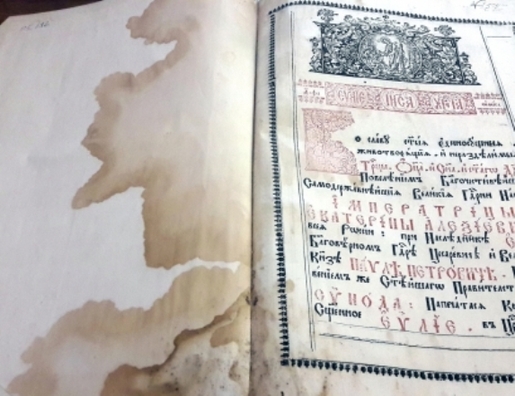 14/15 20170903_173308.jpg_nggid0559180_ngg0dyn_409x315x100_00f0w010c011r110f110r010t010.jpg