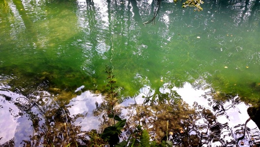 8/9 2017_08_13_14_sini_kalodzez_a._ljaszkevicz_112_logo.jpg