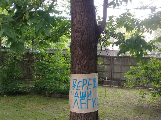 6/13 20180712_152339.jpg