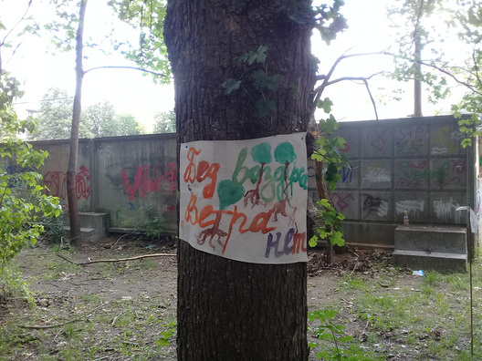 9/13 20180712_152435.jpg