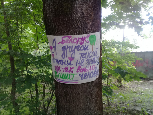 8/13 20180712_152445.jpg