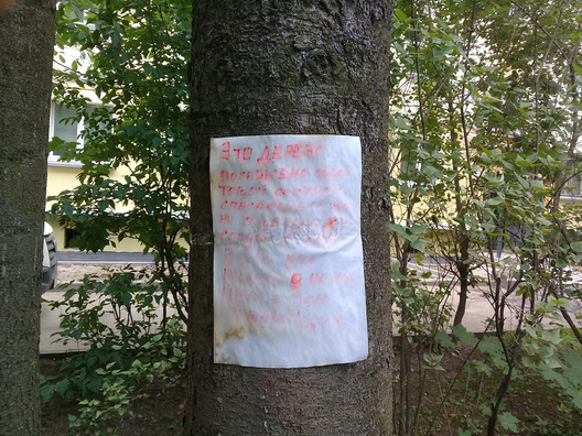 12/13 20180712_152505.jpg