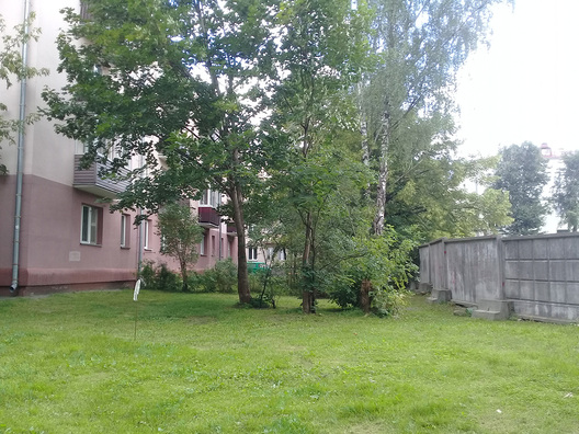 4/13 20180712_152615.jpg