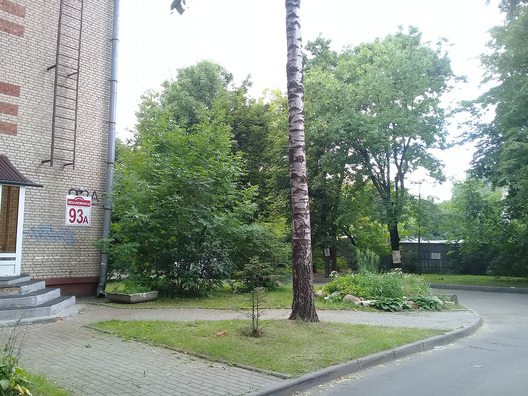 3/13 20180712_152947.jpg