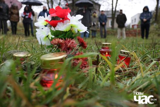 вуліца Вавілава вуліца Вавілава