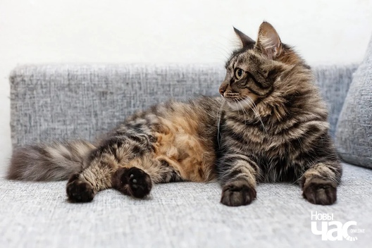 2_250_logo.jpg 2_250_logo.jpg