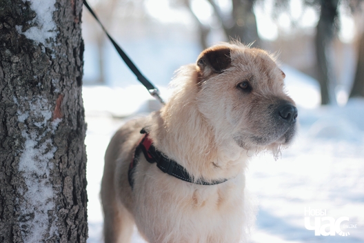 2_378_logo.jpg 2_378_logo.jpg