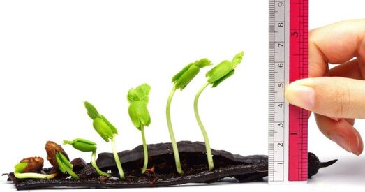 Новыя санкцыі ЕС закрануць важную для Лукашэнкі сферу