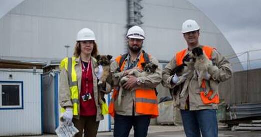 200 шчанюкоў з Чарнобыльскай зоны адчужэння будуць жыць у ЗША