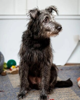 338880599_249007230810631_3783889754743563912_n.jpg 338880599_249007230810631_3783889754743563912_n.jpg