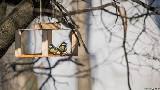 38483adf_8317_4186_8e94_2134fe3f3895_w1023_r1_s.jpg 38483adf_8317_4186_8e94_2134fe3f3895_w1023_r1_s.jpg