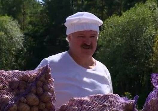 38677056789_1.jpg 38677056789_1.jpg